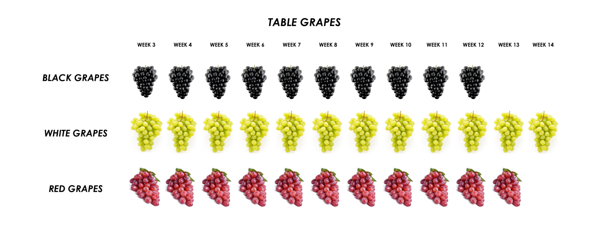 Calendars Pomona Fruit